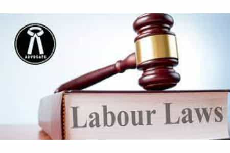 Services/Labour & Educational Matters